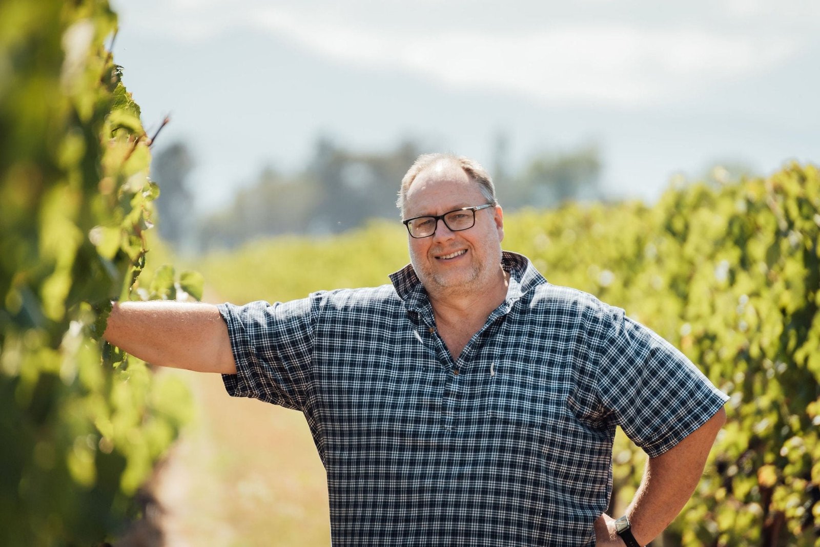 A member of the Jackson Estate team in the Marlborough vineyard during the 2024 vintage