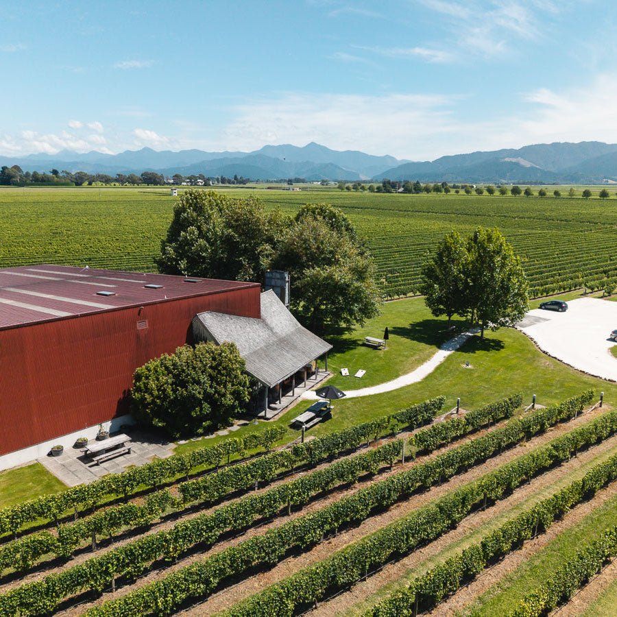 Aerial view of Jackson Estate winery buildings and cellar door surrounded by vineyard rows, with mountains and blue sky beyond.