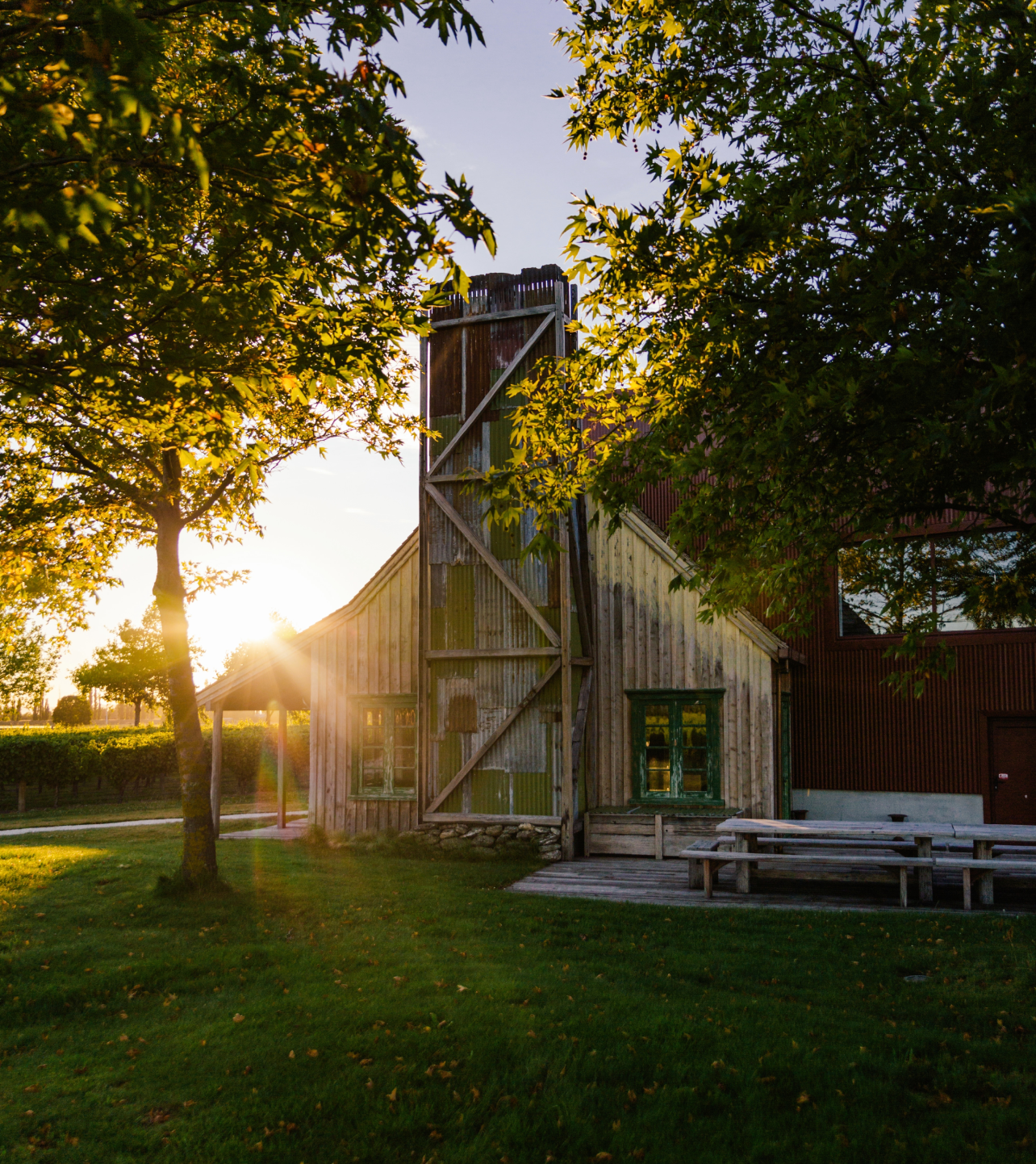 Jackson Estate winery building at golden hour, sun flaring behind a rustic timber structure with picnic tables on a green lawn