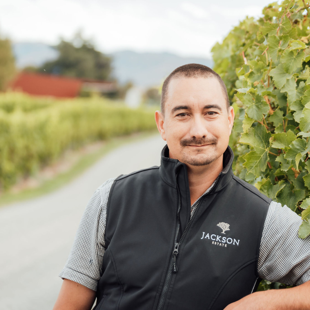 Jackson Estate team member standing among vineyard rows, wearing a branded black vest
