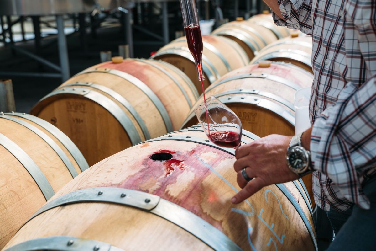 Marlborough Pinot Noir vs Burgundy and Oregon: How They Compare