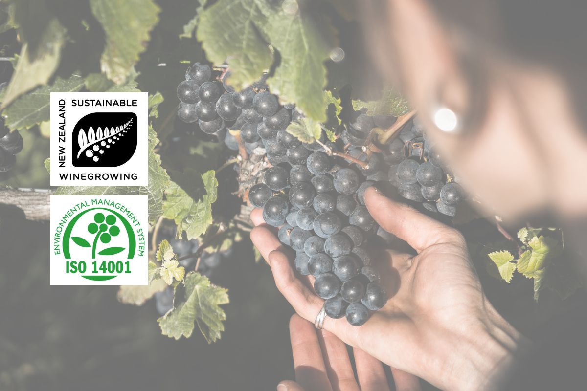 Jackson Estate vineyard in Marlborough, farmed under SWNZ sustainable certification