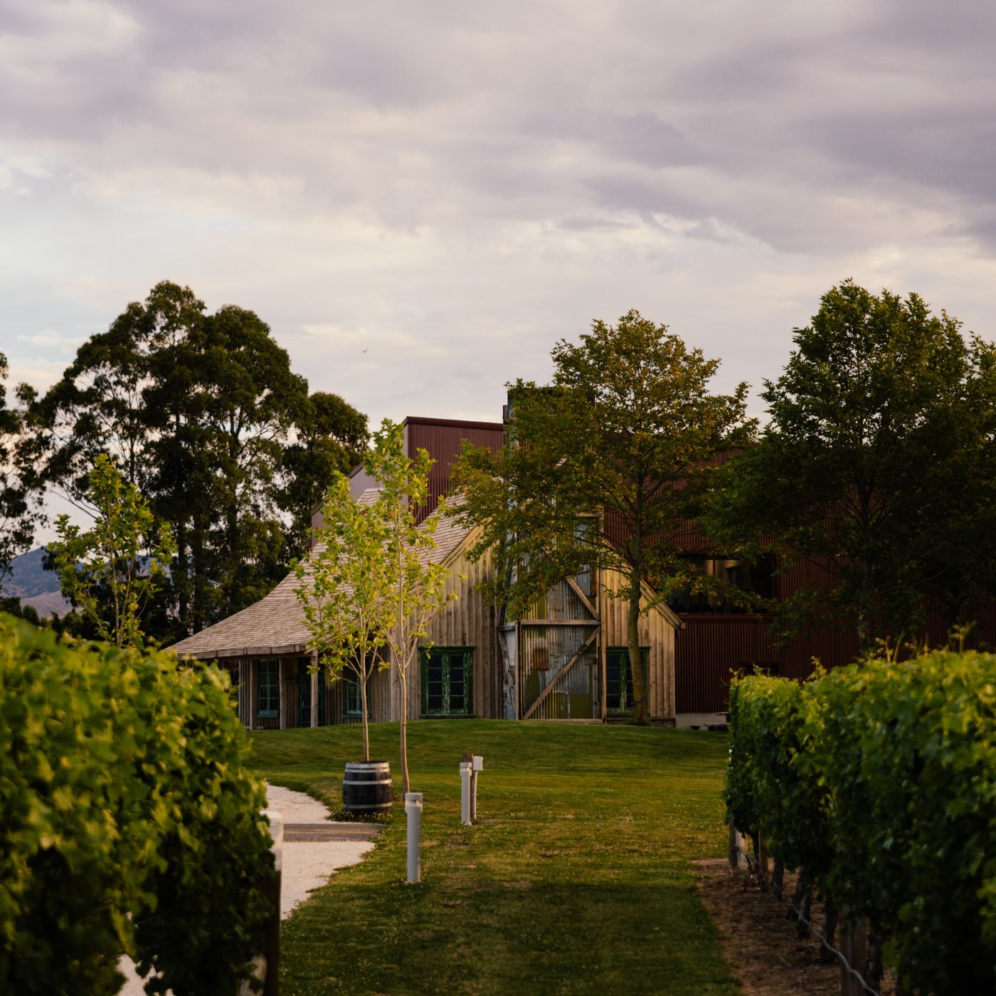 Jackson Estate winery building viewed through vineyard rows, with a timber barn, wine barrel, and mature trees under a cloudy sky