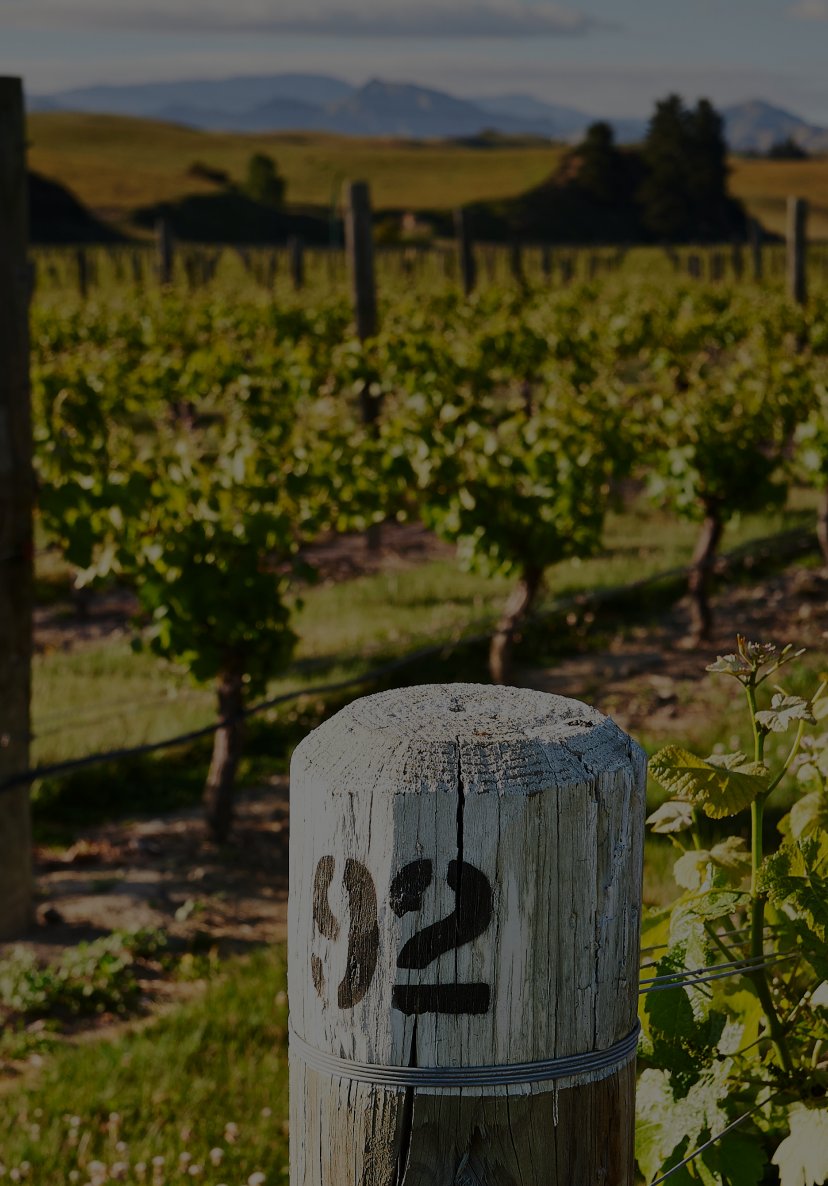 Weathered vineyard post marked "92" at Jackson Estate Vineyard with mountain ranges behind, Marlborough