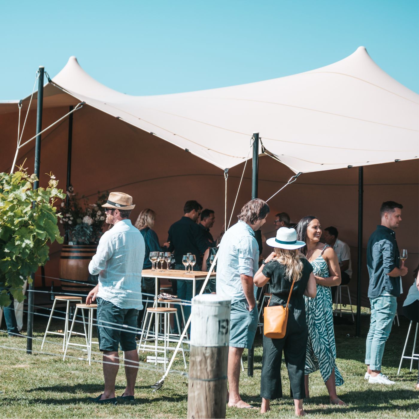 Guests mingling at an outdoor winery event under a large stretch tent on a sunny day, with wine glasses on high tables nearby.