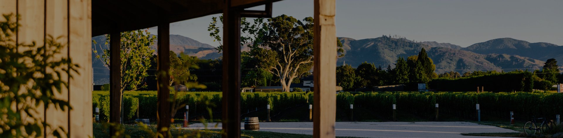 View from Jackson Estate's covered veranda looking out to vineyard rows and rolling hills at dusk