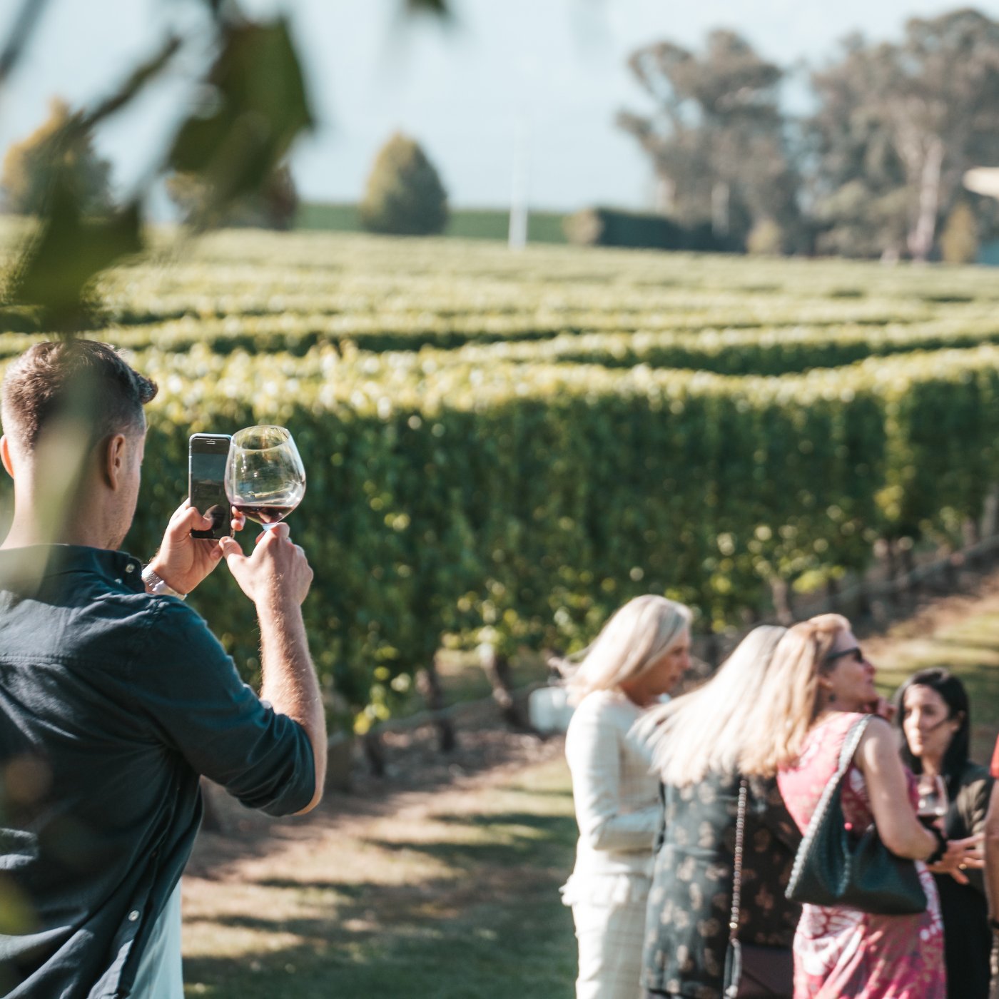 Man photographing a wine glass with his phone among a group of visitors enjoying a vineyard wine tasting experience