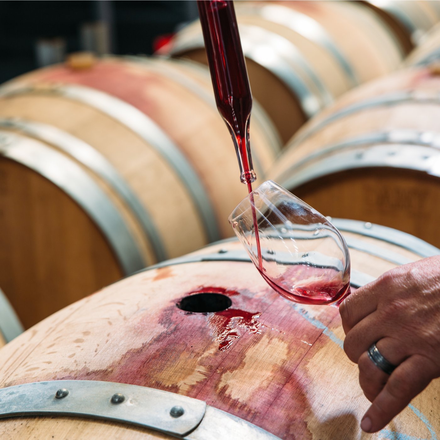 Red wine being drawn from an oak barrel into a wine glass at Jackson Estate winery