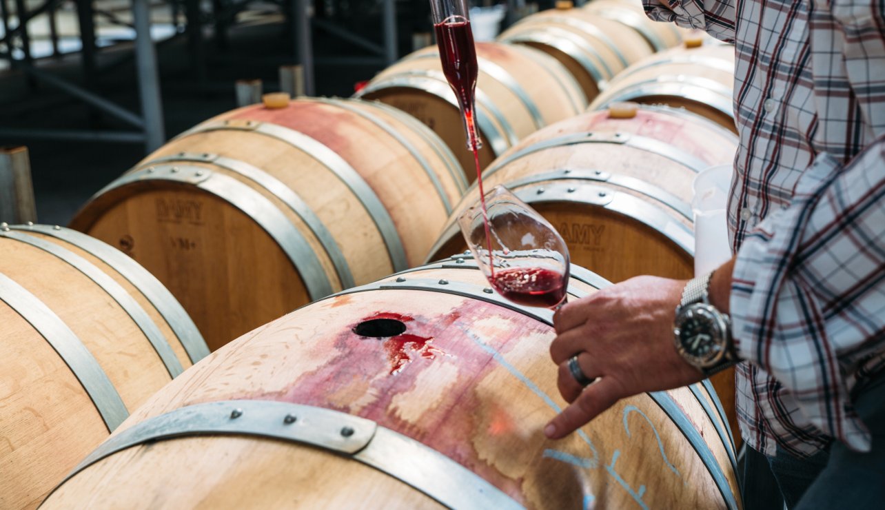 Red wine being poured into a glass from a barrel at Jackson Estate winery, with rows of oak barrels behind