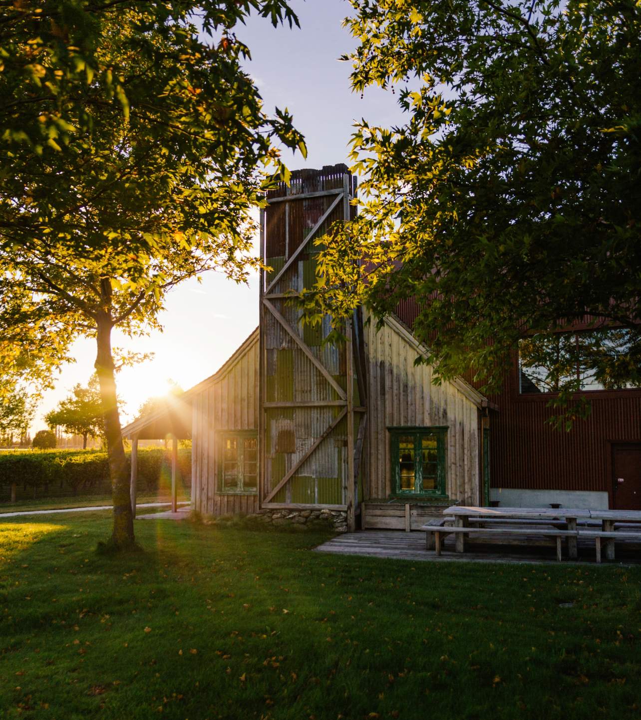 Jackson Estate winery building at golden hour, sun flaring behind a rustic timber structure with picnic tables on a green lawn