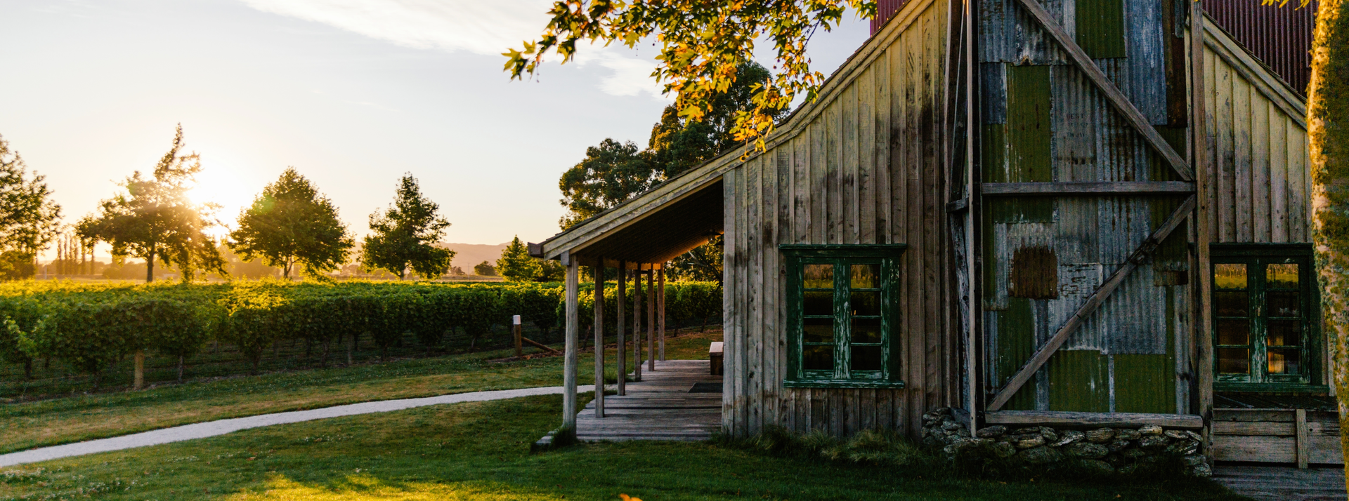 Jackson Estate cellar door at golden hour, with vineyard rows and tree-lined path in the background, Marlborough