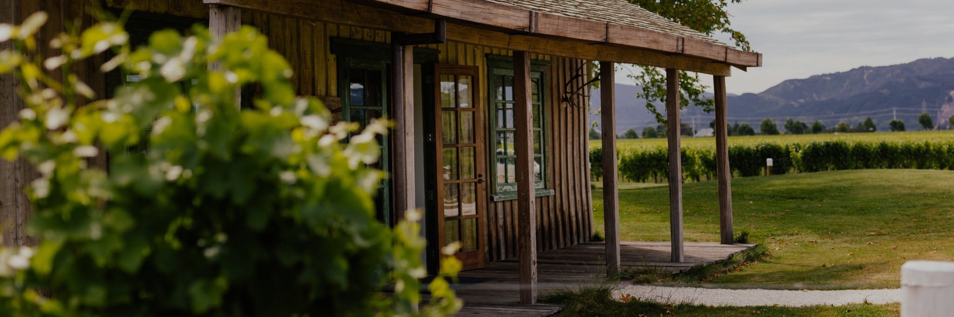 Jackson Estate cellar door with covered veranda, surrounded by green vines and Marlborough mountains beyond