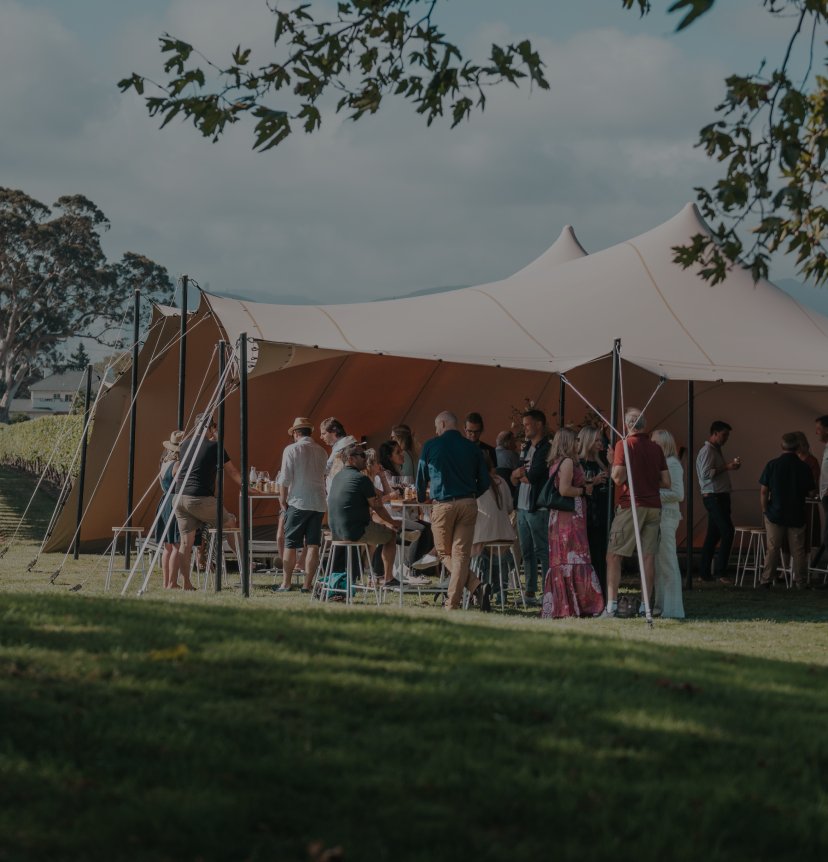 Guests mingling under a large stretch tent at an outdoor winery event on a green lawn