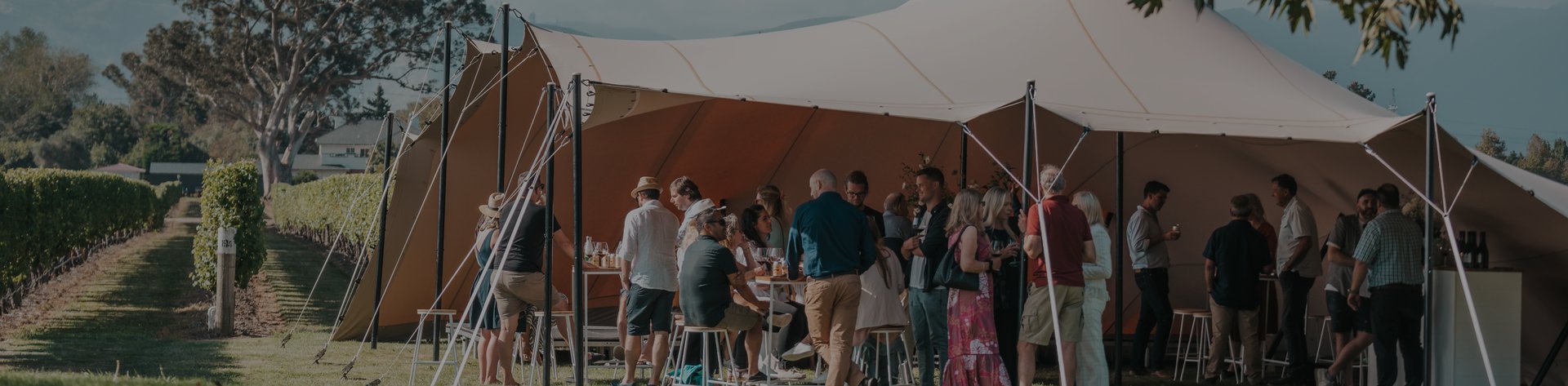 Guests mingling at an outdoor event beneath a large stretch tent beside a vineyard on a sunny day