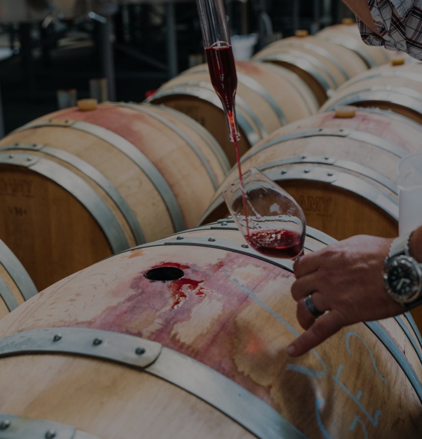 Red wine being drawn from an oak barrel using a wine thief at Jackson Estate winery