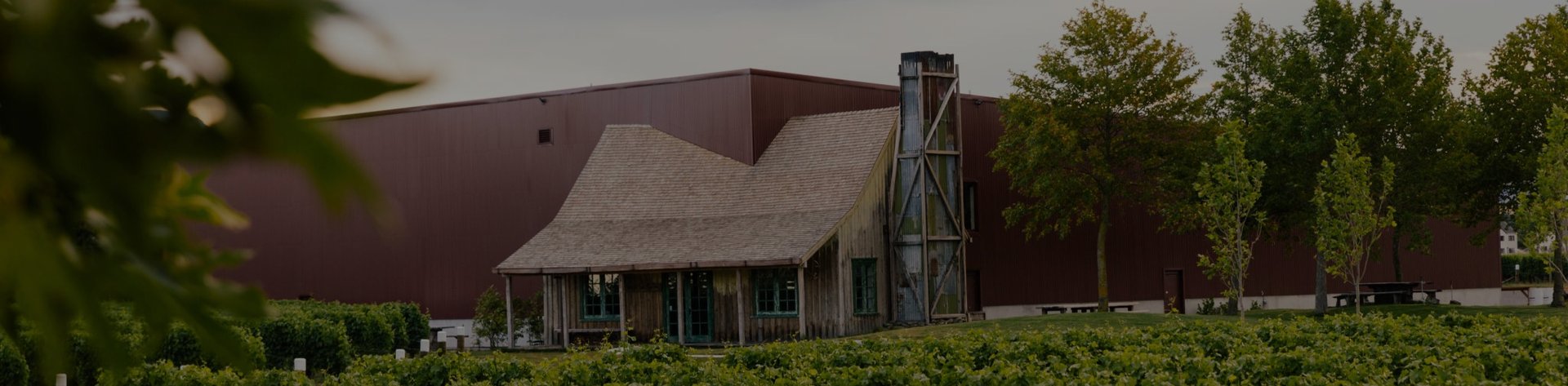 Jackson Estate winery building with thatched-roof cellar door, surrounded by vines and mature trees